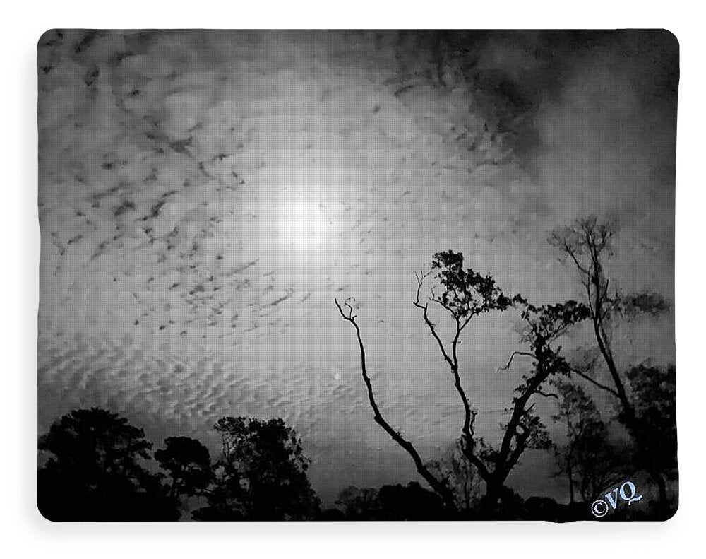 Moonlit Night with Silhouetted Trees - Blanket