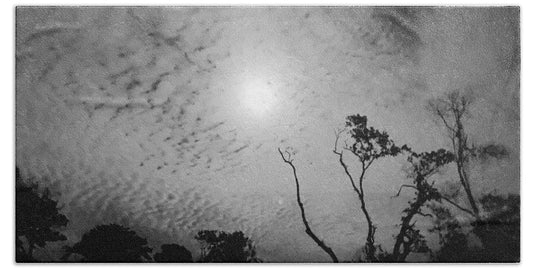 Moonlit Night with Silhouetted Trees - Bath Towel