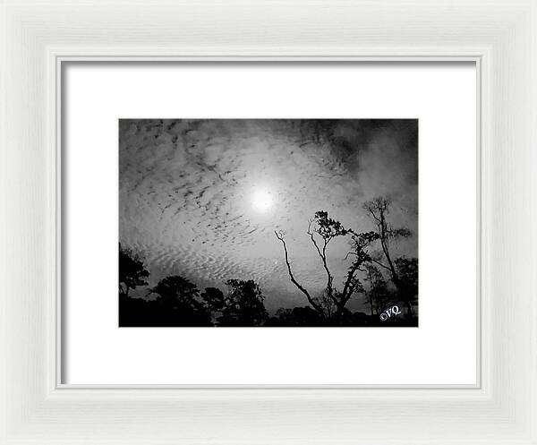 Moonlit Night with Silhouetted Trees - Framed Print