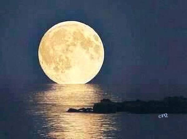 Moonrise Over Tranquil Waters - Art Print