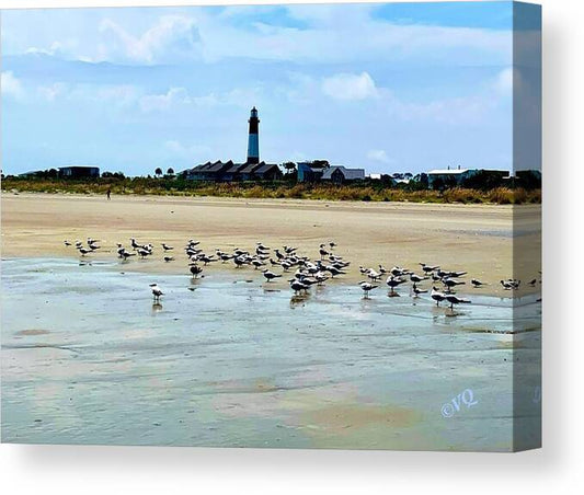 Seagulls on a Sandy Shoreline - Canvas Print