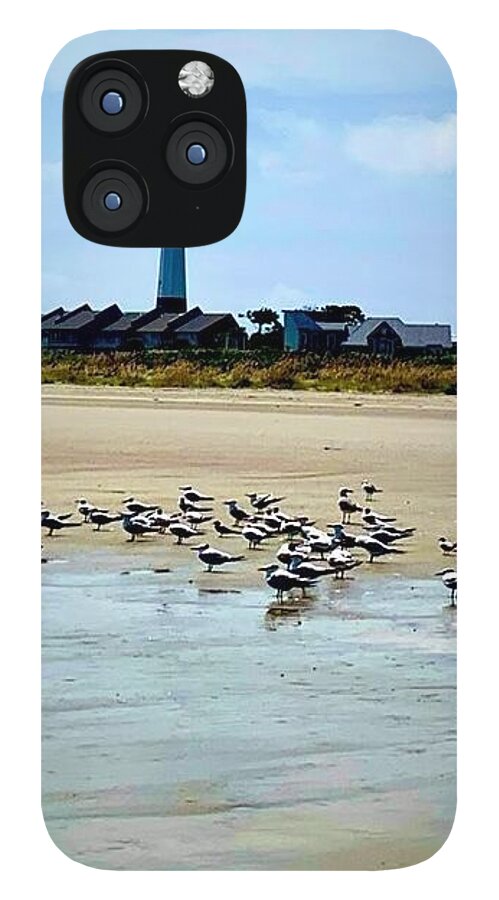 Seagulls on a Sandy Shoreline - Phone Case