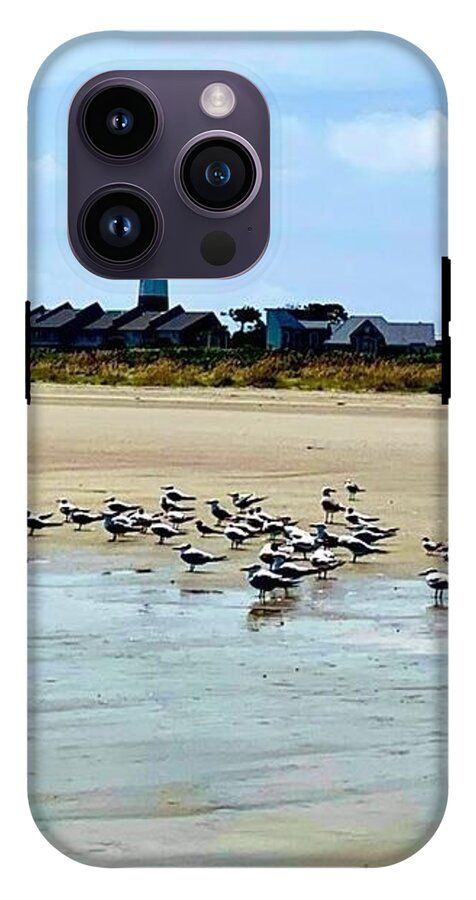 Seagulls on a Sandy Shoreline - Phone Case