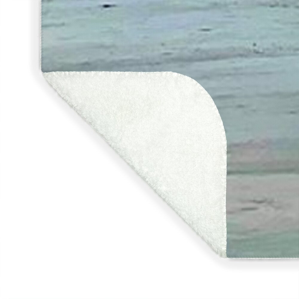 Seagulls on a Sandy Shoreline - Blanket