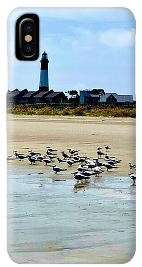 Seagulls on a Sandy Shoreline - Phone Case