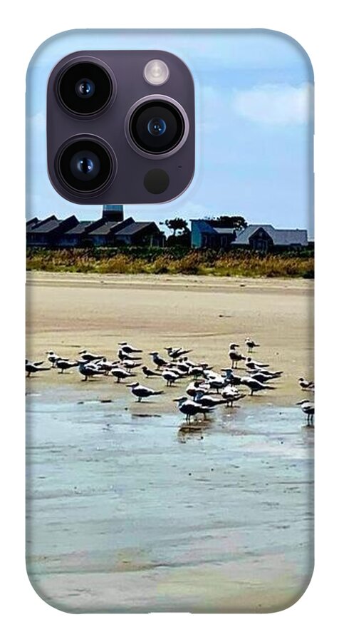 Seagulls on a Sandy Shoreline - Phone Case