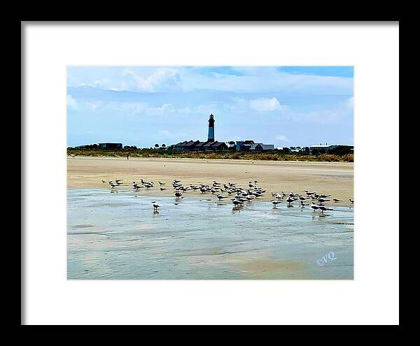 Seagulls on a Sandy Shoreline - Framed Print