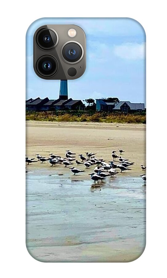 Seagulls on a Sandy Shoreline - Phone Case