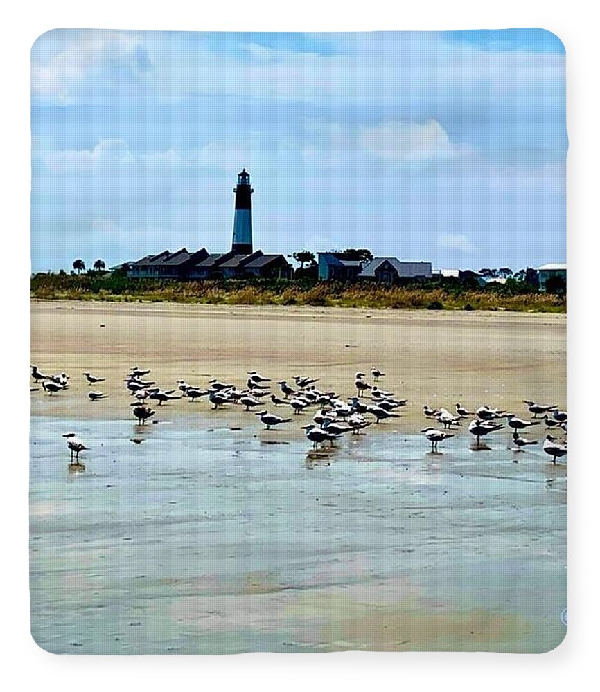 Seagulls on a Sandy Shoreline - Blanket