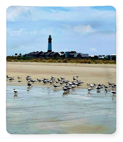 Seagulls on a Sandy Shoreline - Blanket