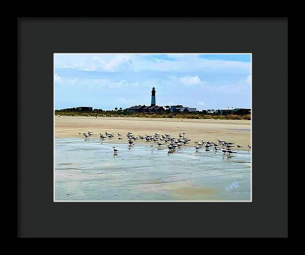 Seagulls on a Sandy Shoreline - Framed Print