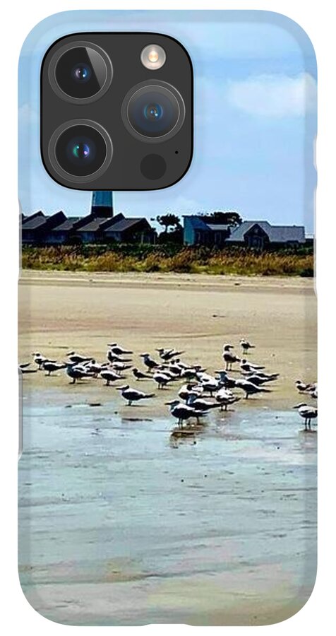 Seagulls on a Sandy Shoreline - Phone Case