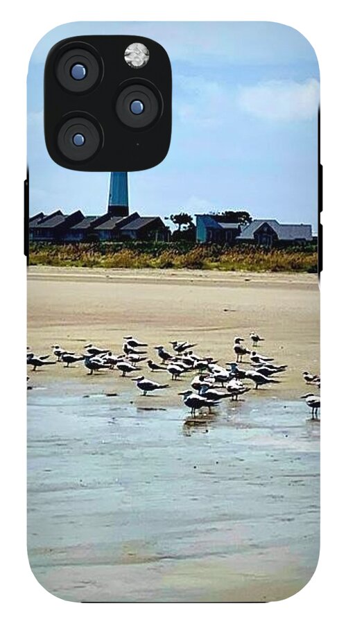 Seagulls on a Sandy Shoreline - Phone Case