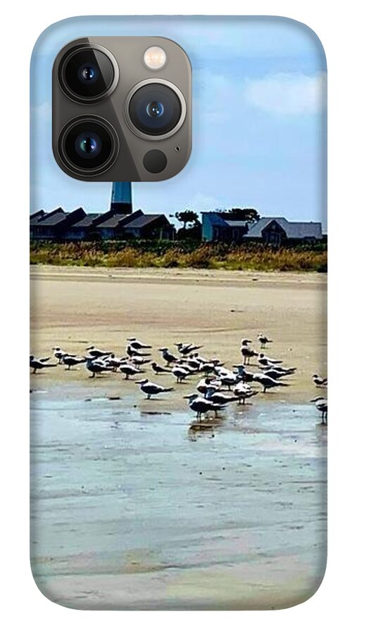 Seagulls on a Sandy Shoreline - Phone Case