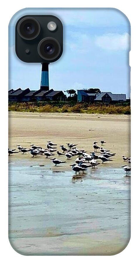 Seagulls on a Sandy Shoreline - Phone Case