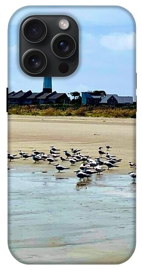 Seagulls on a Sandy Shoreline - Phone Case
