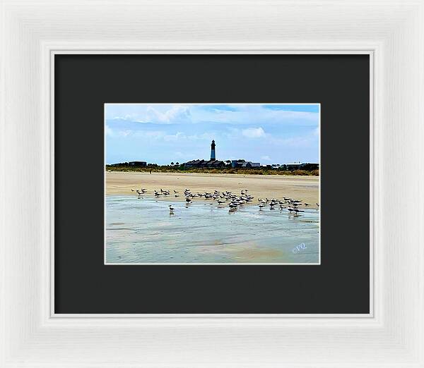Seagulls on a Sandy Shoreline - Framed Print