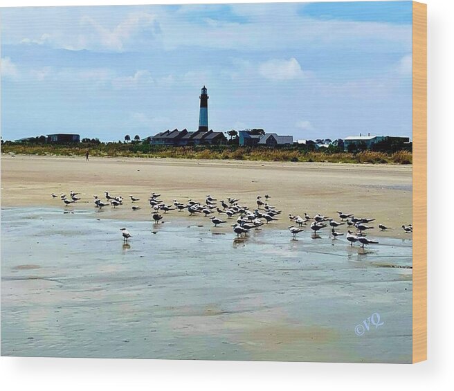Seagulls on a Sandy Shoreline - Wood Print