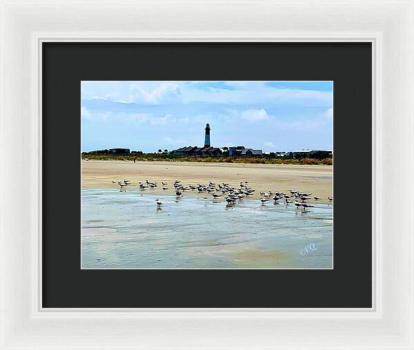 Seagulls on a Sandy Shoreline - Framed Print