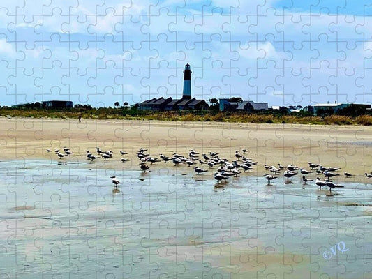 Seagulls on a Sandy Shoreline - Puzzle