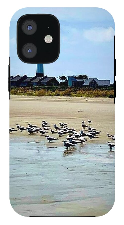 Seagulls on a Sandy Shoreline - Phone Case