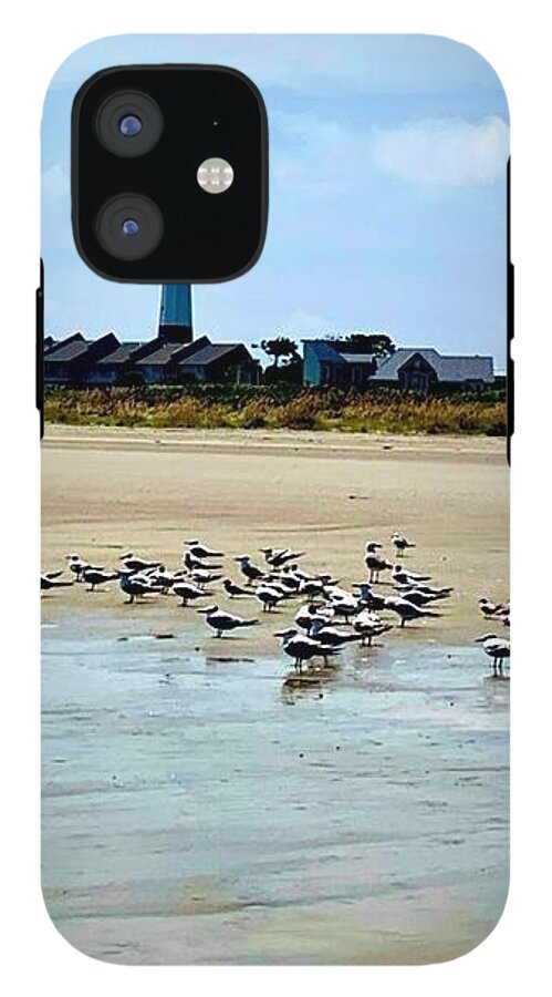 Seagulls on a Sandy Shoreline - Phone Case