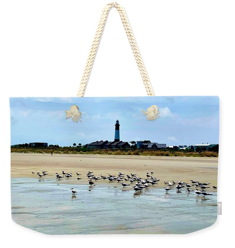 Seagulls on a Sandy Shoreline - Weekender Tote Bag