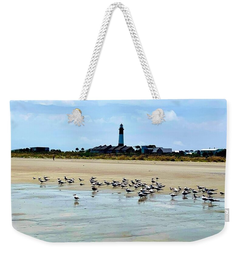 Seagulls on a Sandy Shoreline - Weekender Tote Bag