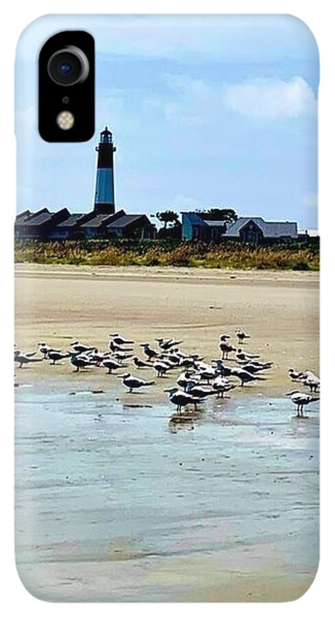 Seagulls on a Sandy Shoreline - Phone Case