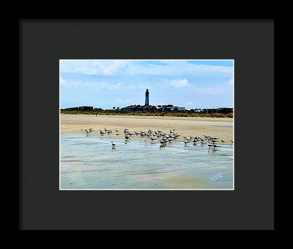 Seagulls on a Sandy Shoreline - Framed Print