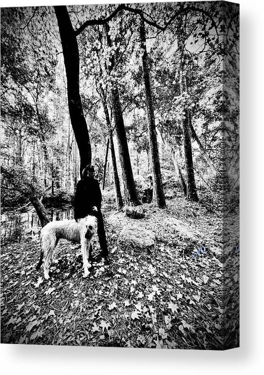 Solitude in the Autumn Woods - Canvas Print