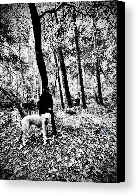 Solitude in the Autumn Woods - Canvas Print