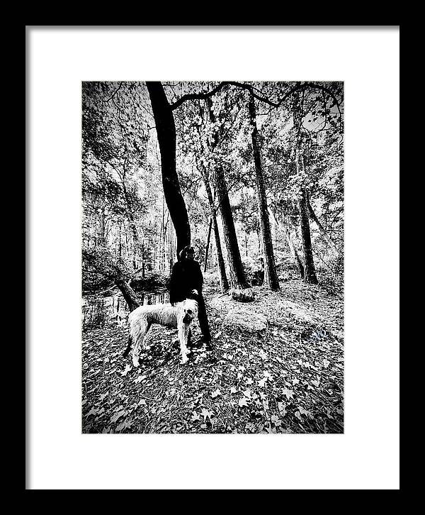 Solitude in the Autumn Woods - Framed Print