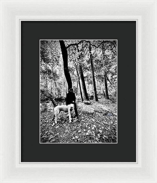 Solitude in the Autumn Woods - Framed Print