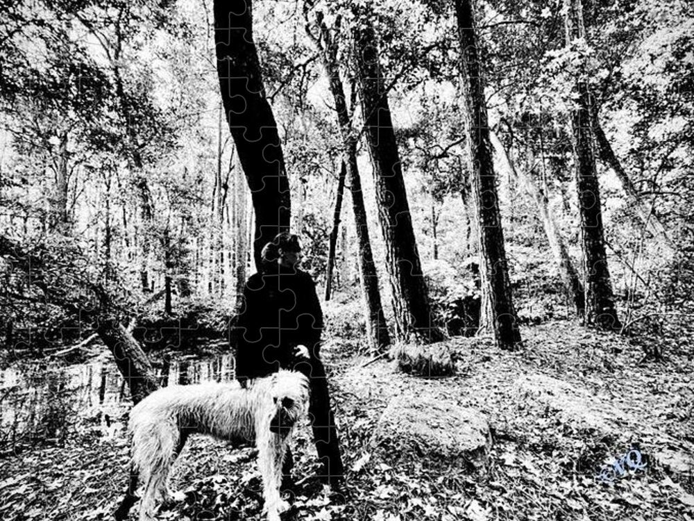 Solitude in the Autumn Woods - Puzzle