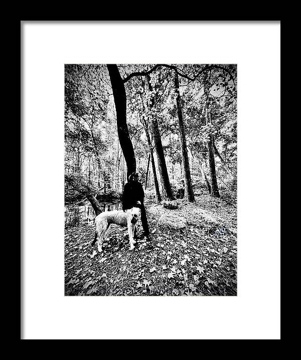Solitude in the Autumn Woods - Framed Print