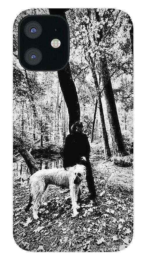 Solitude in the Autumn Woods - Phone Case