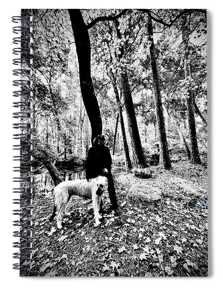 Solitude in the Autumn Woods - Spiral Notebook