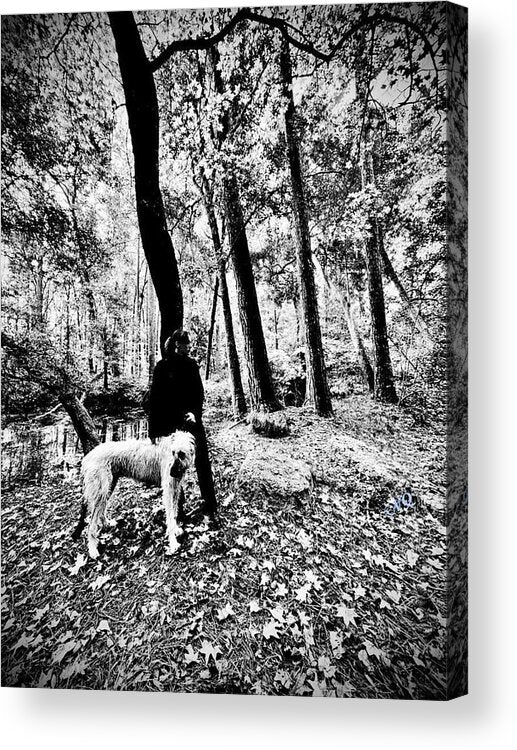 Solitude in the Autumn Woods - Acrylic Print