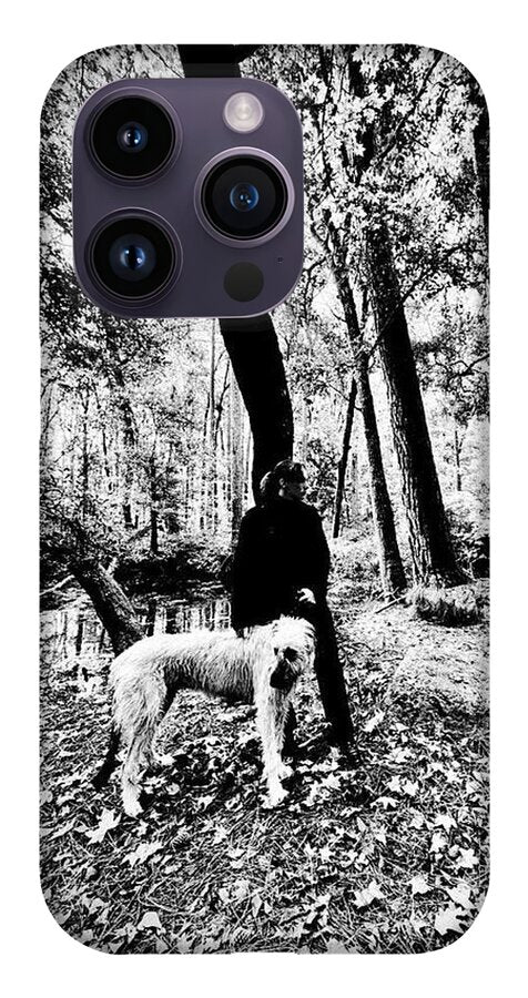 Solitude in the Autumn Woods - Phone Case