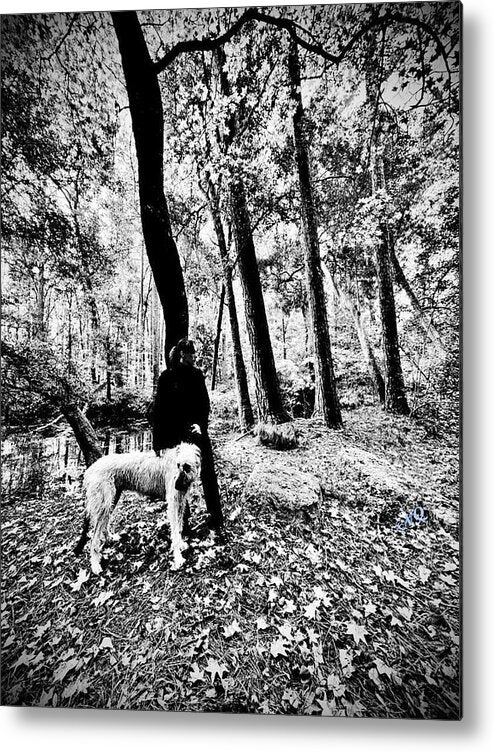 Solitude in the Autumn Woods - Metal Print