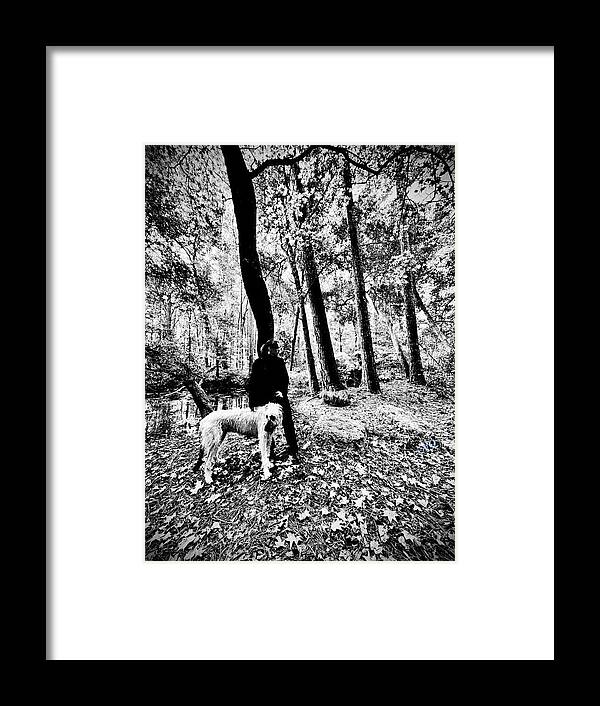Solitude in the Autumn Woods - Framed Print