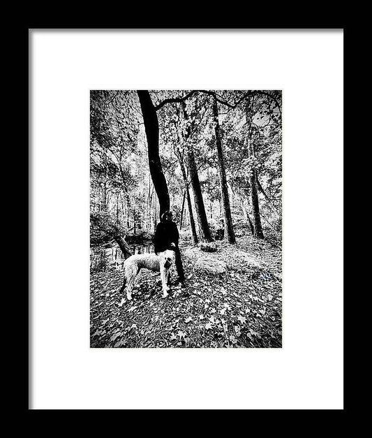 Solitude in the Autumn Woods - Framed Print