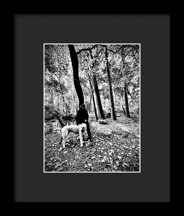 Solitude in the Autumn Woods - Framed Print