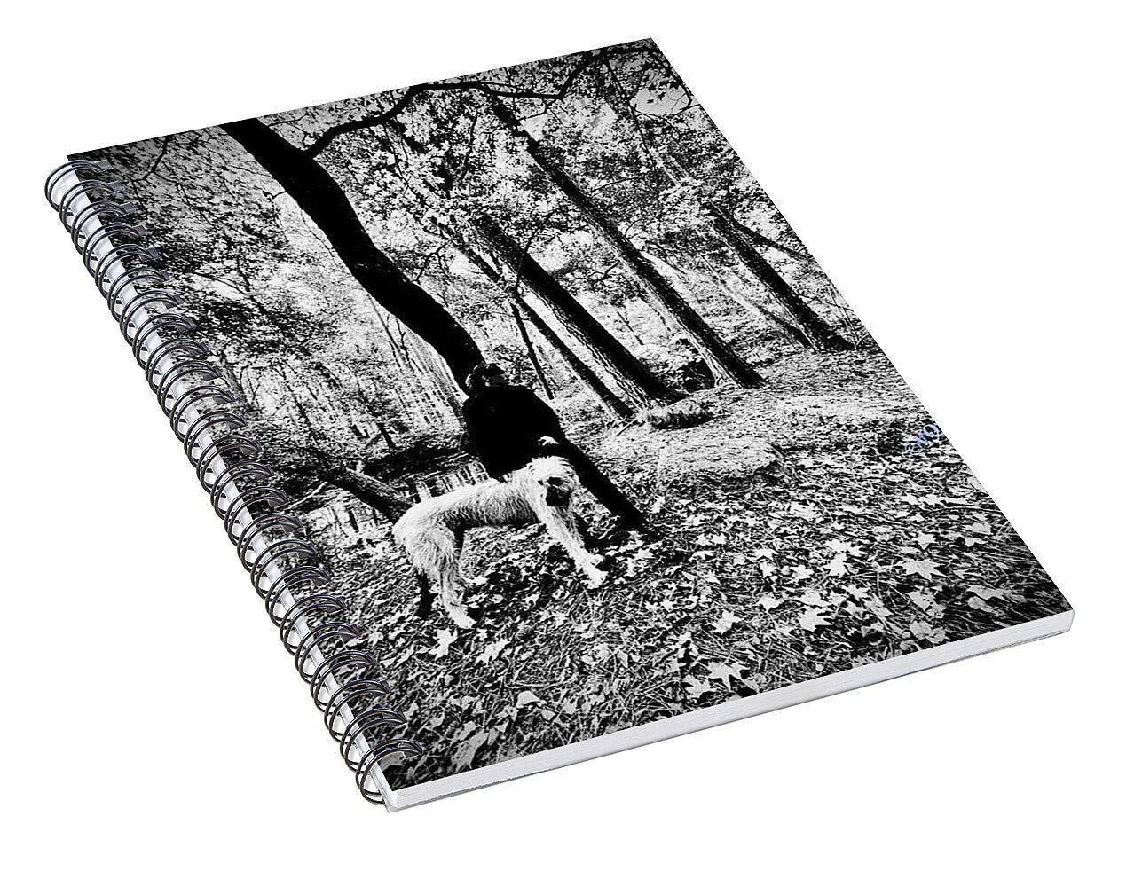 Solitude in the Autumn Woods - Spiral Notebook