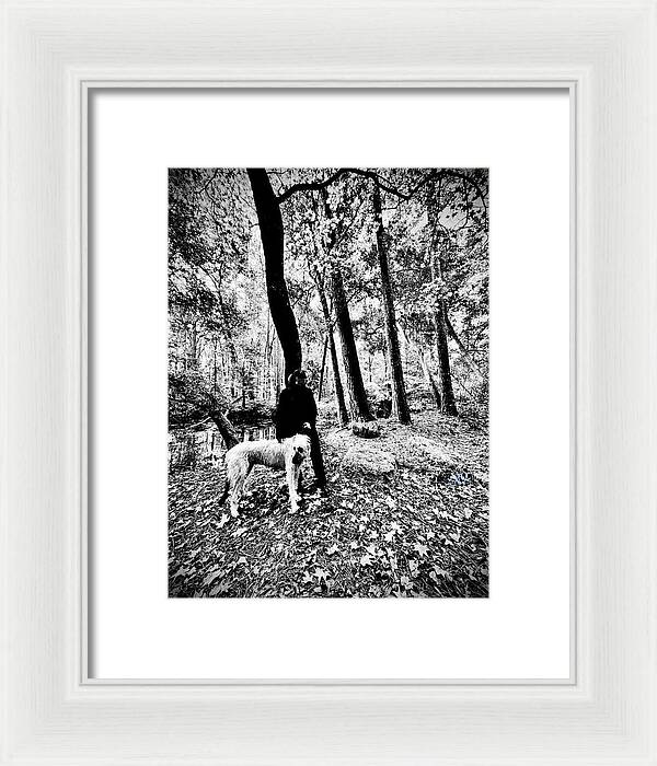 Solitude in the Autumn Woods - Framed Print