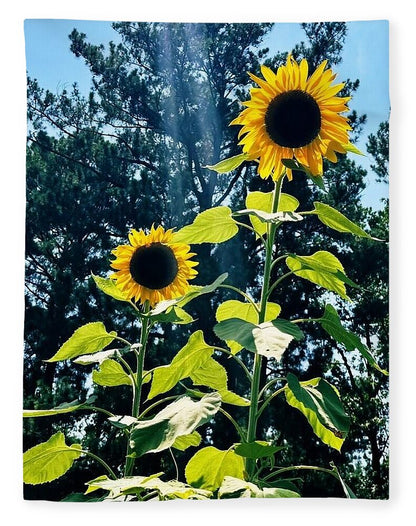 Sunflowers Reaching Towards the Sky - Blanket