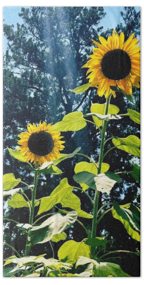 Sunflowers Reaching Towards the Sky - Bath Towel
