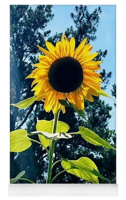 Sunflowers Reaching Towards the Sky - Yoga Mat