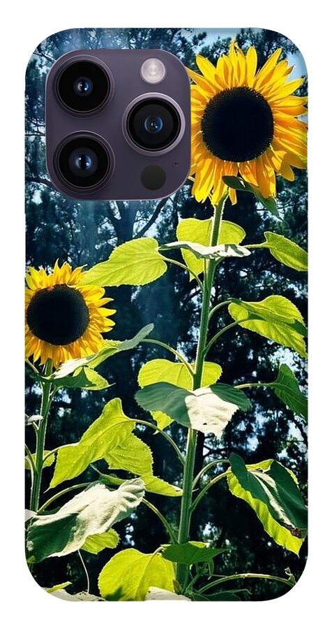 Sunflowers Reaching Towards the Sky - Phone Case